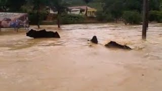 Água das chuvas arranca asfalto e arrasta casa em Rio Bananal