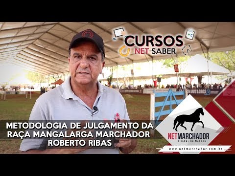 METODOLOGIA DE JULGAMENTO DA RAÇA MANGALARGA MARCHADOR – ROBERTO RIBAS