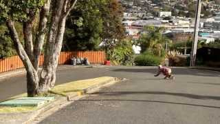 Longboarding Troy Pemberton in Whangarei