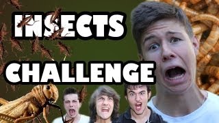 Seb la Frite - Insects Challenge