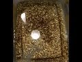 How to easily recover gold from scrap computer ...