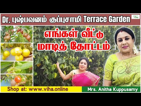 Download எங்கள் வீட்டு மாடித் தோட்டம்/ Dr புஷ்பவனம் குப்புசாமி அனிதா குப்புசாமி/छत पर बागवानी/Terrace Garden