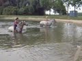 zwemmen met paard 3