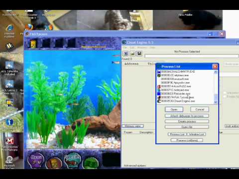 Free fish tycoon money full version only - YouTube