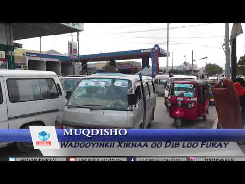 Download Mogadishu City 48saac ka dib waxaa dhaqan galay Amarkii ka soo baxay xubnaha Gudiga Amniga Qaranka D
