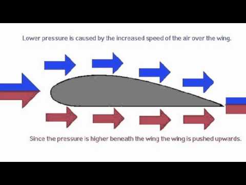 bernoulis principle Bernoulli's principle - examples example of flow rates in a reactor example of lift forces example of spinning ball in an airflow bernoulli's principle. bernoulis principle Bernoulli's principle - examples example of flow rates in a reactor example of lift forces example of spinning ball in an airflow bernoulli's principle.