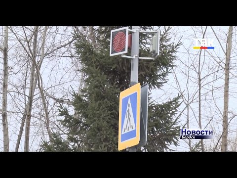 Четыре новых светофора установлены вблизи бердских школ
