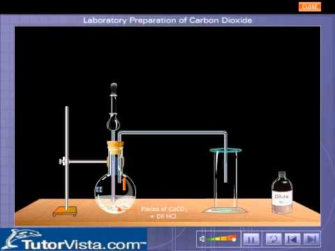 preparation laboratory dioxide carbon acid hydrochloric chemistry carbonate