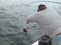 Port Renfrew Halibut Fishing