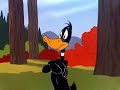 Rabbit season, duck season