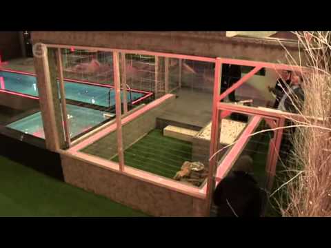 Watch  Brother Celebrity on Celebrity Big Brother Uk 2013   Day 2   Live   Youtube