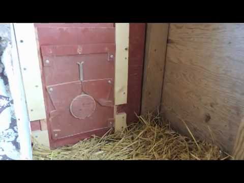 Solar Powered Gravity Lock Door for Chicken Coop - YouTube