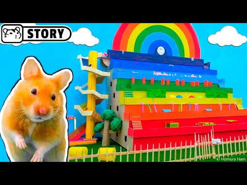 Rainbow STEPPED MAZE (Obstacle Course) for Hamster ️🌈 Rainbow Pyramid Maze ️