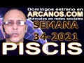 Video Horscopo Semanal PISCIS  del 15 al 21 Agosto 2021 (Semana 2021-34) (Lectura del Tarot)