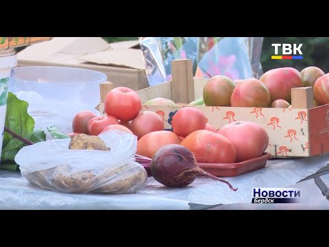 Проход стал свободней. Рейды по уличной торговле возле ТЦ «Меркурий» Бердска дают свои плоды Проход стал свободней. Рейды по уличной торговле возле ТЦ «Меркурий» Бердска дают свои плоды