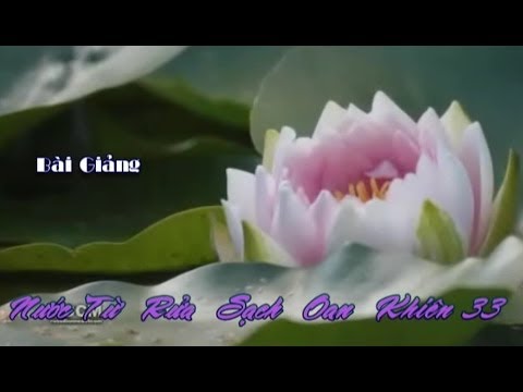 Nước Từ Rửa Sạch Oan Khiên (Kỳ 33)