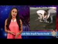 ¡Justin Bieber Atropelló Paparazzi Anoche!