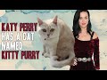11 Insane Animal Facts