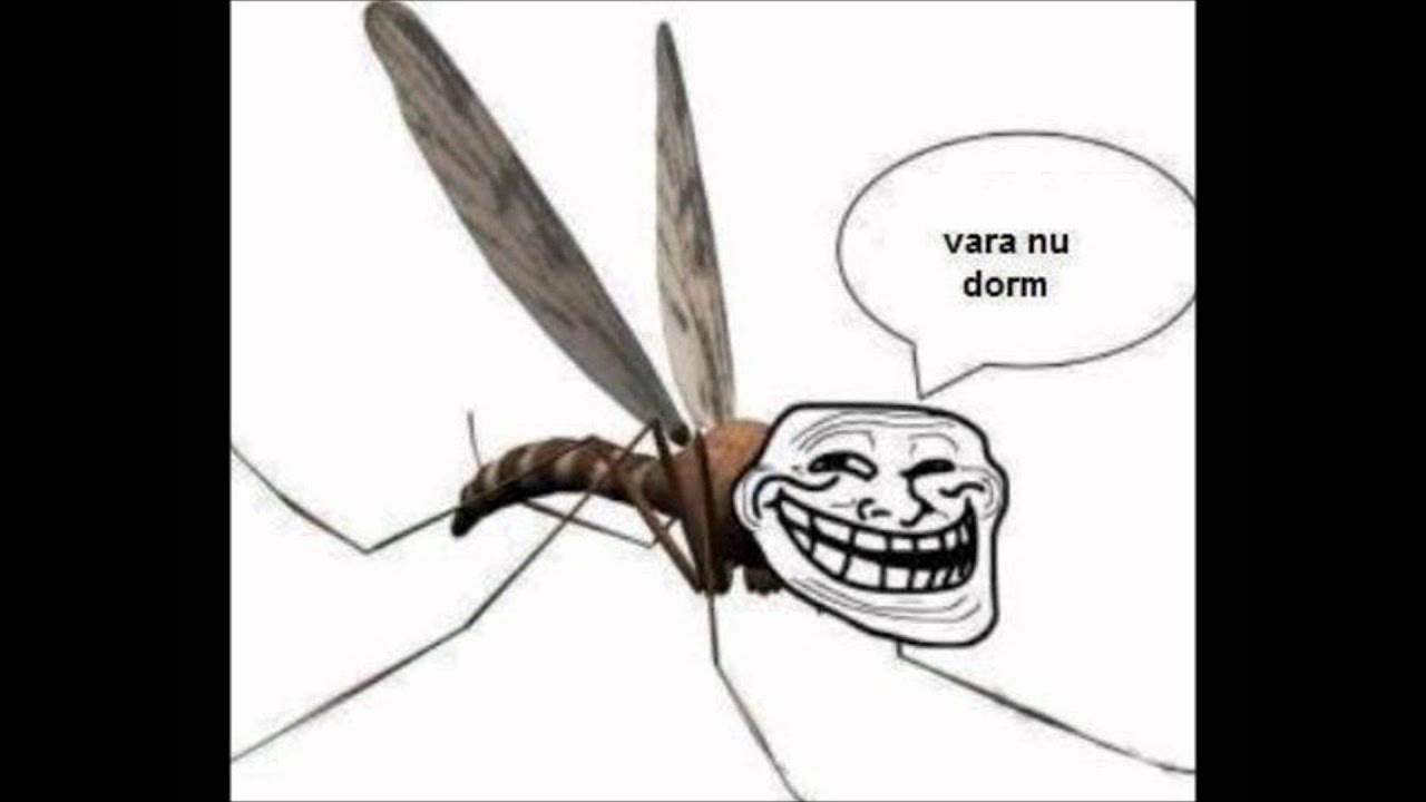 eu vara nu dorm free download
