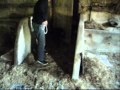cynolor thobby et galina.wmv