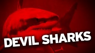 DEVIL SHARK DISCOVERED!