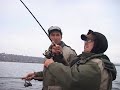 судак на джиг осенью видео на днепре судак на джиг осенью видео на днепре