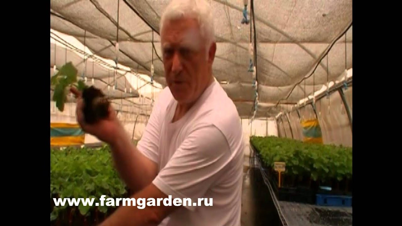Баня своими руками Своими руками - Как сделать самому 59 Баня своими руками Своими руками - Как сделать самому 68