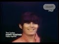 Happy Together - The Turtles - RARO