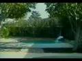 Hilarious, Funny Clips Will Make You Laugh!! - Youtube