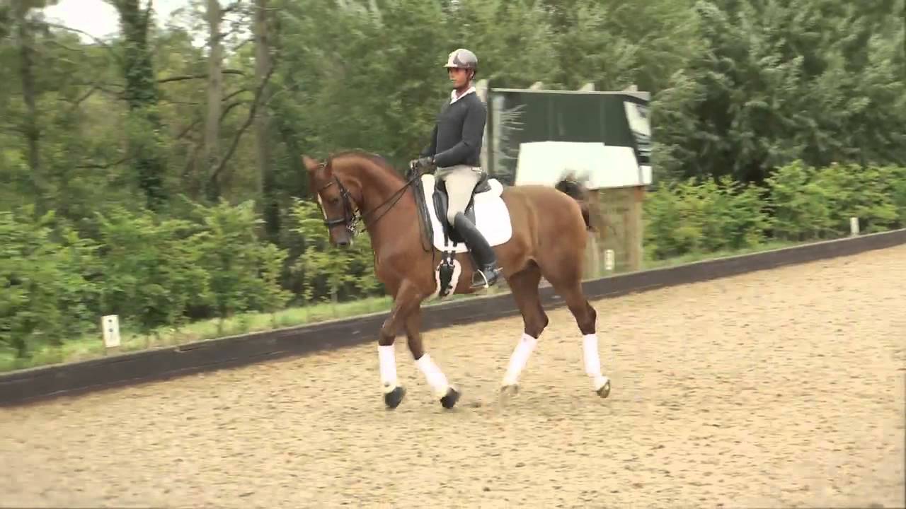 The best of the London 2012 Olympics Carl Hester dressage YouTube