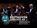Ludwig van Beethoven, Senfoni No. 1 Op. 21 Do Majör