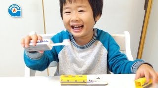 歯ブラシトレインのN700Aとドクターイエロー【がっちゃん4歳】