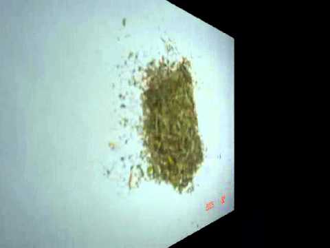 herbal incense review demon - YouTube