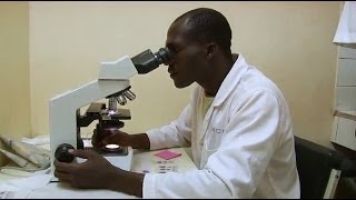 Vaccin contre le paludisme, la victoire à portée de main ! 