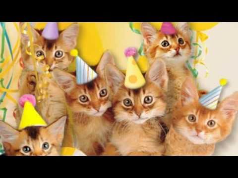 Cute Cats Sing "Happy Birthday" - YouTube