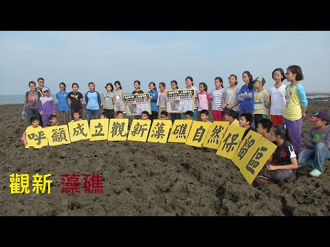 我們的島 第705集 觀新藻礁 (2013-05-06) - YouTube pic