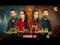 Woh Ziddi Si - Episode 41 - 5th Jan 2025 [ Aina Asif & Shazeal Shaukat ]  SIA BEAUTY CREAM - HUM TV