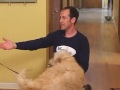 Thumbnail 2 for Train A Dog Not To Jump On Guests Thumbnail 2 for Train A Dog Not To Jump On Guests