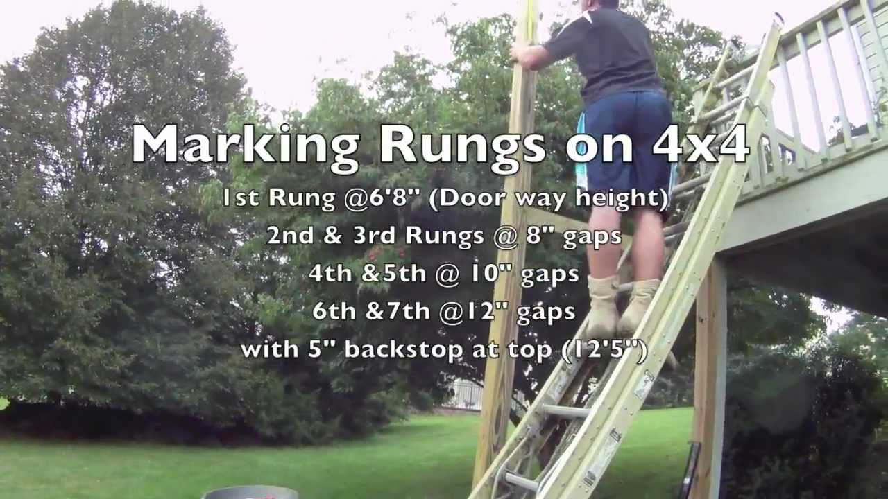 How To Build A Salmon Ladder + Training YouTube