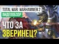   Total War Warhammer 2