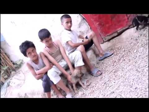 إغنية تدافع عن التشرميل”فاس الموسخة”