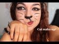 Tutoriel maquillage : Le chat!