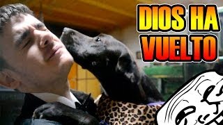 LUFFY DISFRAZADO DE "VEGETTA777" xD | El perro seductor =D | Y EL HARDSTYLE DE TEEMO | Josemi