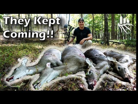 Too Many DEER!!(Hilarious Ending) Management Day
