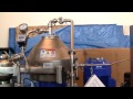 From Algae to Energy