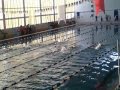 Relais Mixte 4X50m 4 Nages