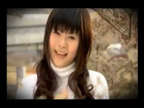 เพลงใหม่