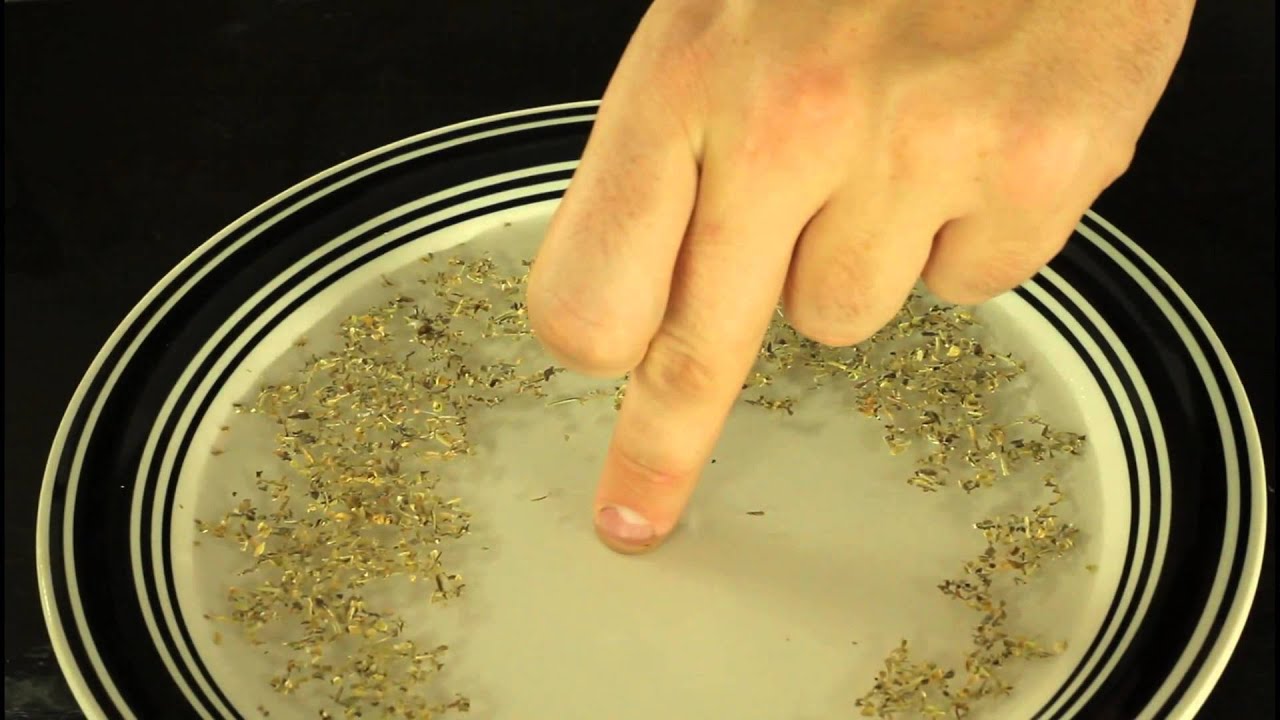 Pepper and Soap Trick Science Experiment YouTube