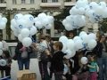 Lâché de ballons du 4 octobre 2012 : Le Panorama des Animaux