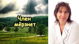 Екатерина Макарова - Половой член мерзнет
